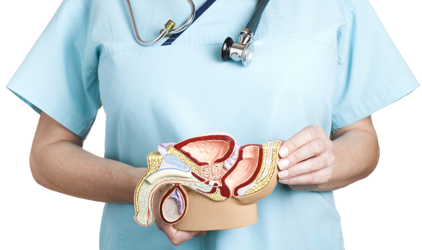 peyronie’s-disease peyronies disease