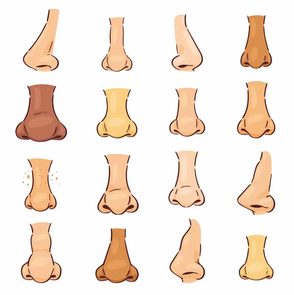 ethnic rhinoplasty 1